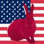 FRAMBOISE-FLAG VERT LAIT DE MENTHE FLAG rabbit flag Showroom - Inkjet on plexi, limited editions, numbered and signed. Wildlife painting Art and decoration. Click to select an image, organise your own set, order from the painter on line